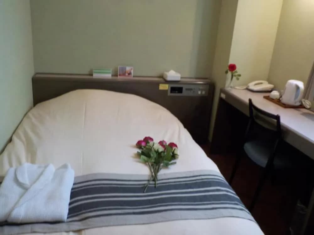 Hotel Mac Nishi-Nippori - photo 2
