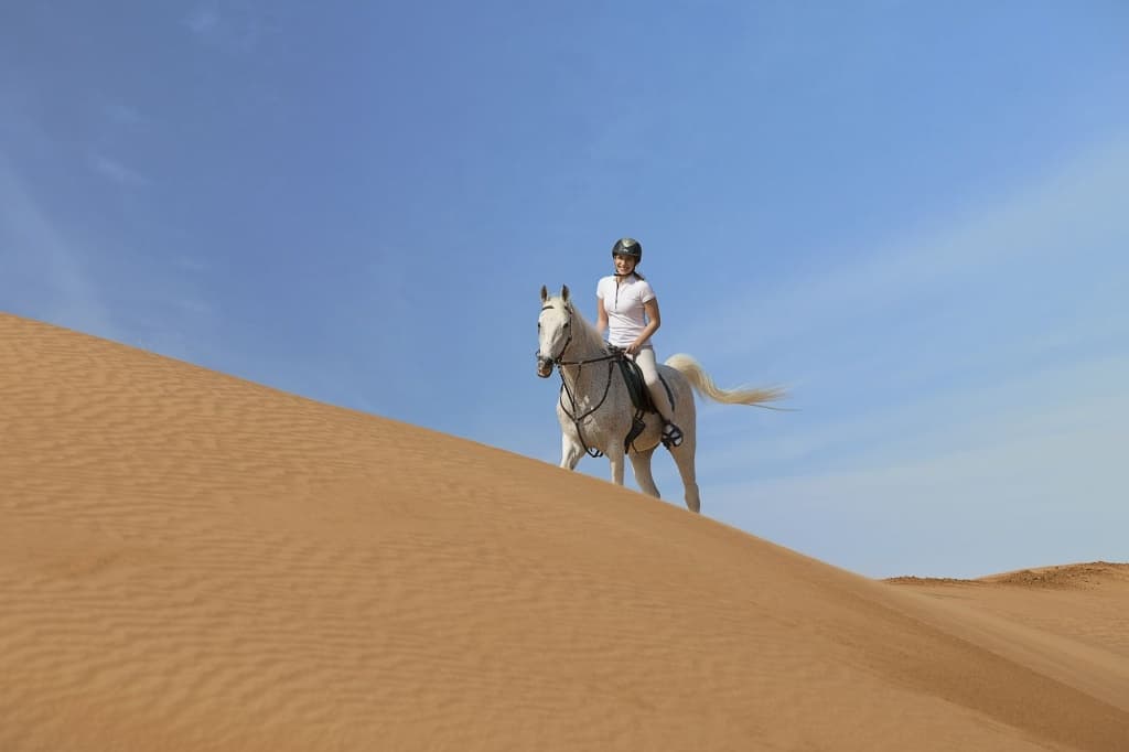 The Ritz-Carlton Ras Al Khaimah, Al Wadi Desert - photo 41