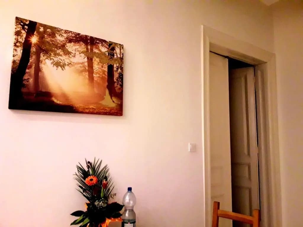 Rainbow Property - photo 5