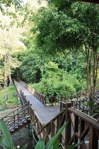 Tabin Wildlife Resort - photo 10
