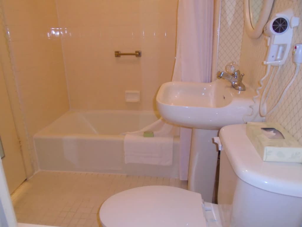 Stanyan Park Hotel - photo 8