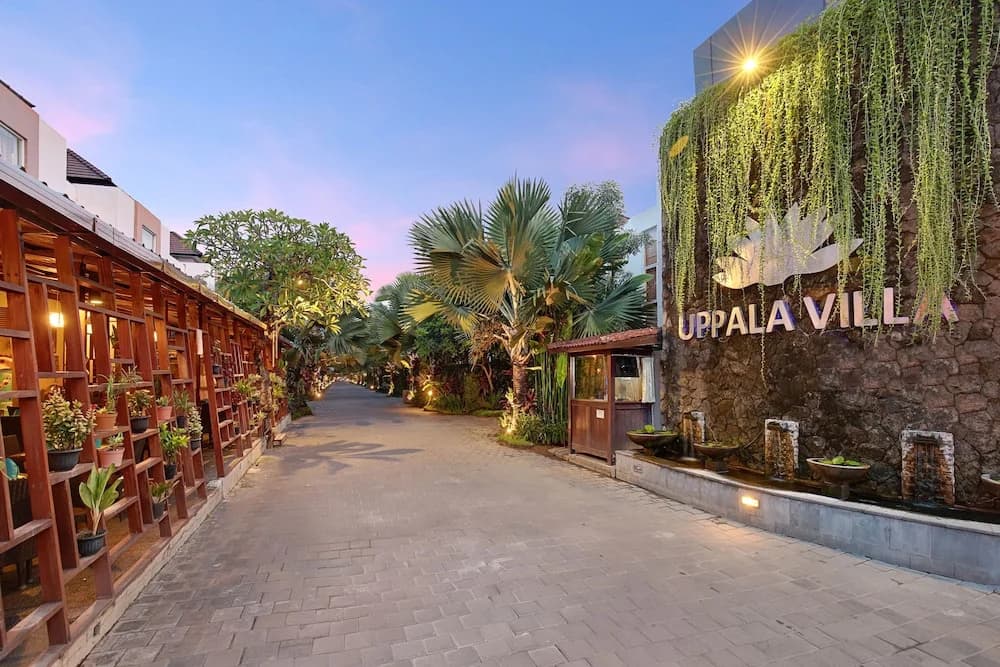 Bismarkia Suite - main photo