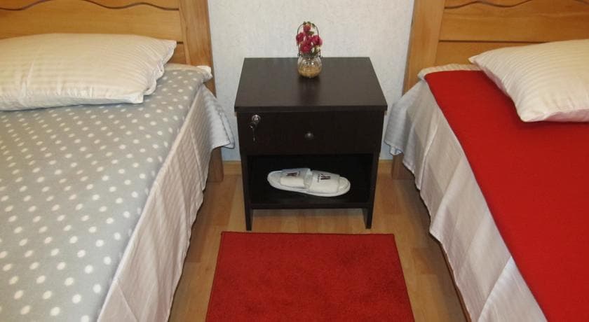 Guest House Lion - photo 6