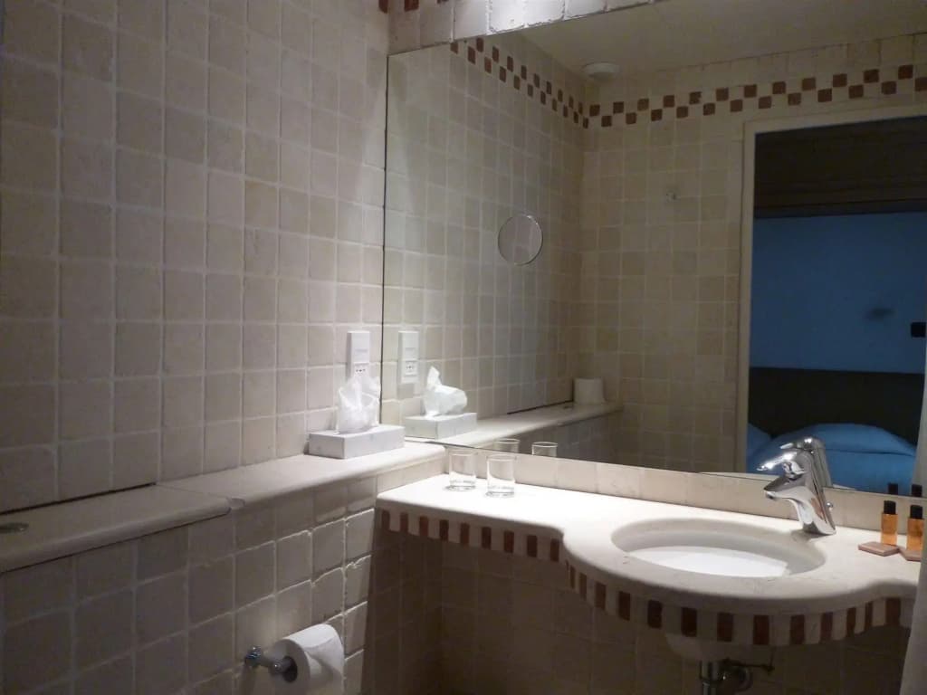 Hotel du Vieux Marais - photo 10
