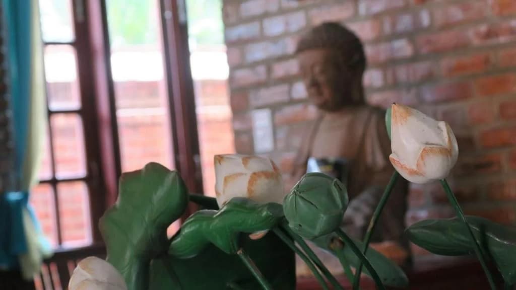 Calm House Hotel Hoi An - photo 29
