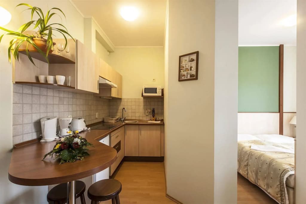 Premium Apartment House - photo 24