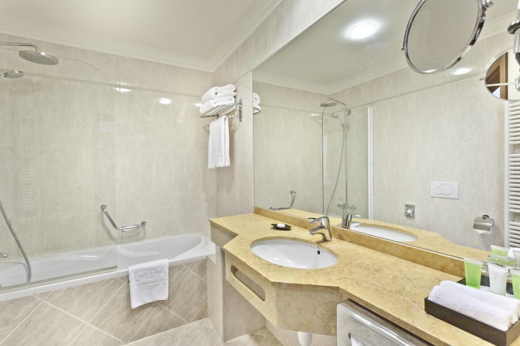 Kosher Hotel KING DAVID Prague - photo 9