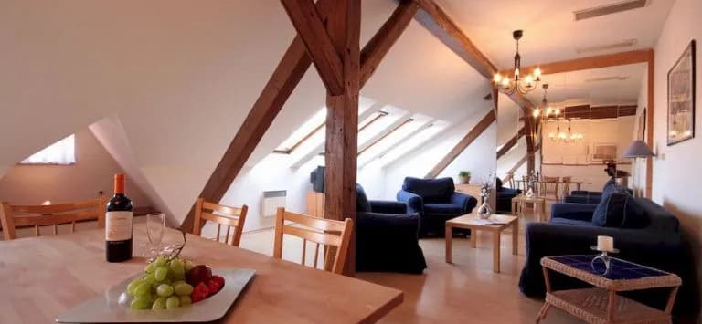 Jungmann Apartments - photo 18