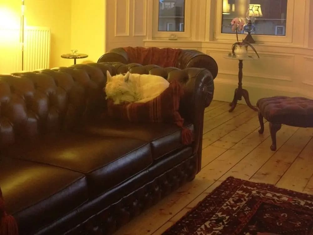 Glendevon Central Bed and Breakfast - photo 4