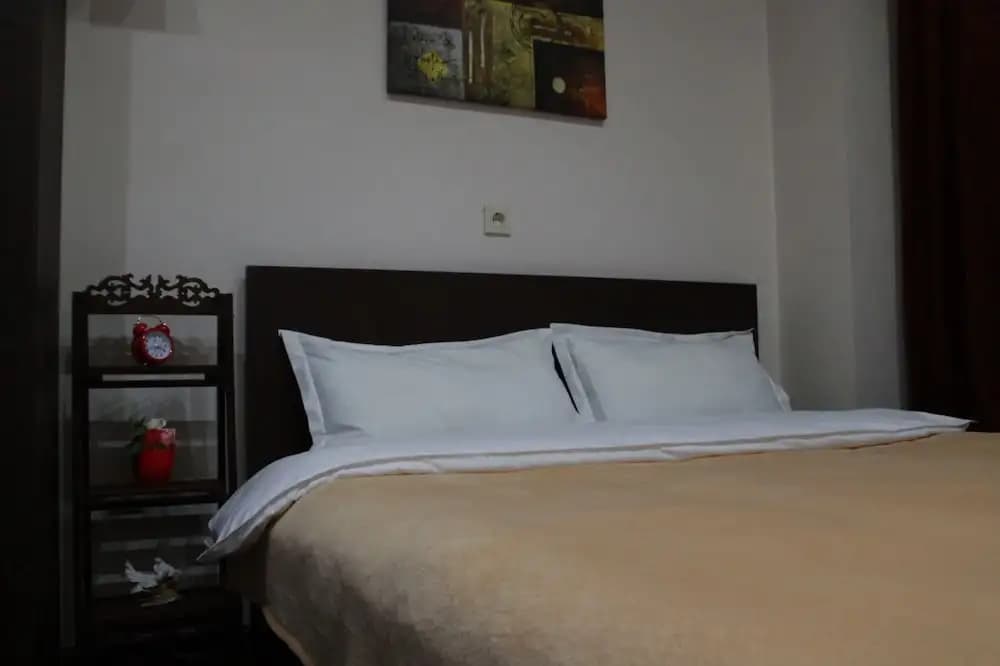 Apartment on Kuchishvili Str. - photo 4