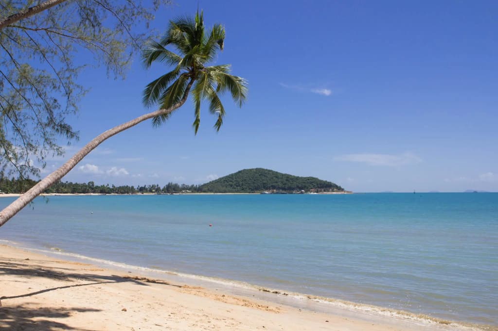 Rajapruek Samui Resort - photo 22