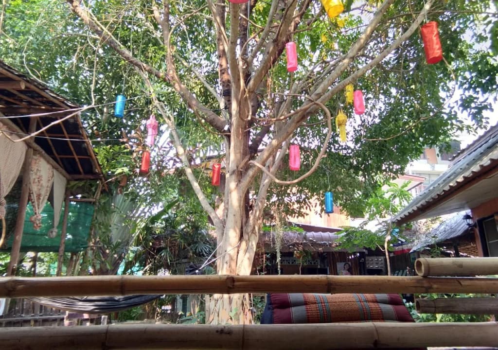 SDT Home - photo 22