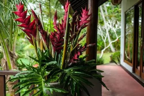 The Desa Ubud Villa - photo 27