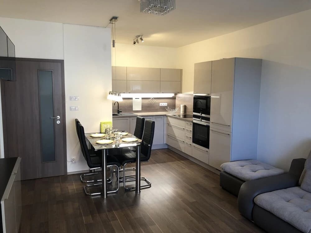 DeLuxe Apartments - photo 14