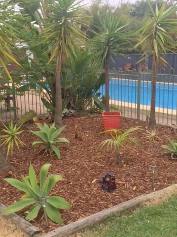 Cronulla Motor Inn - photo 15