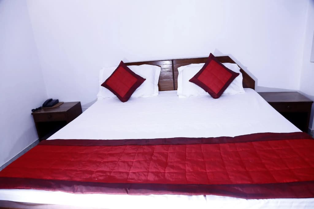 Hotel Batra Holiday Home - photo 3