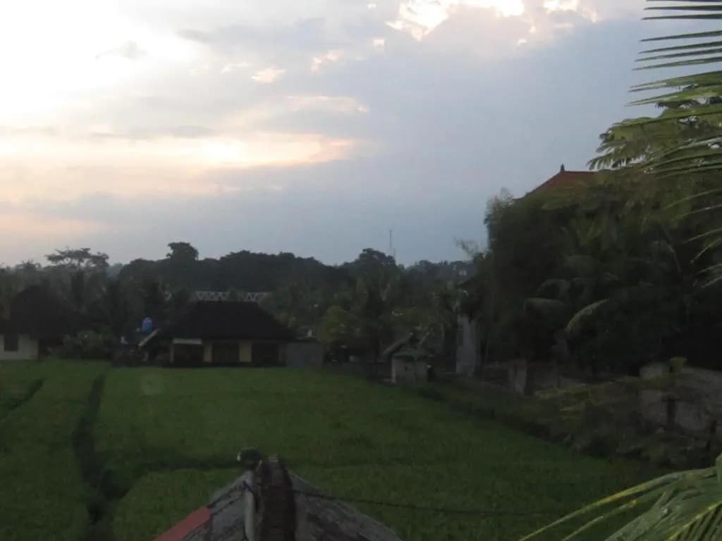 Purnama Di Bisma - photo 14