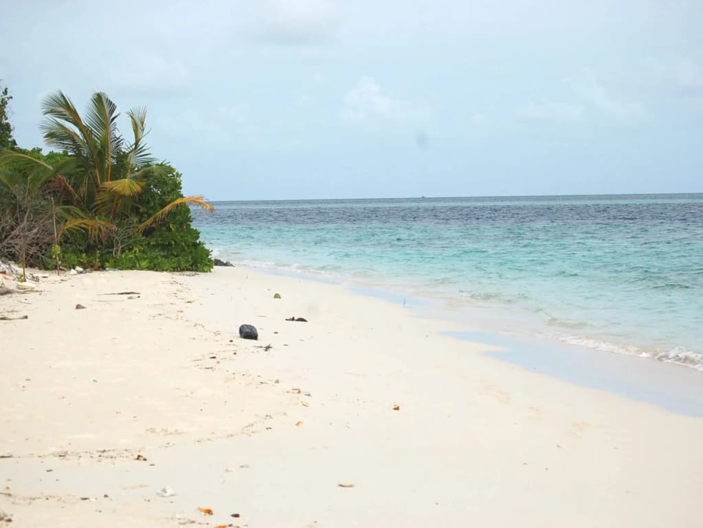 Vaali Maldives Island Escapes & Dive Guest House - photo 18