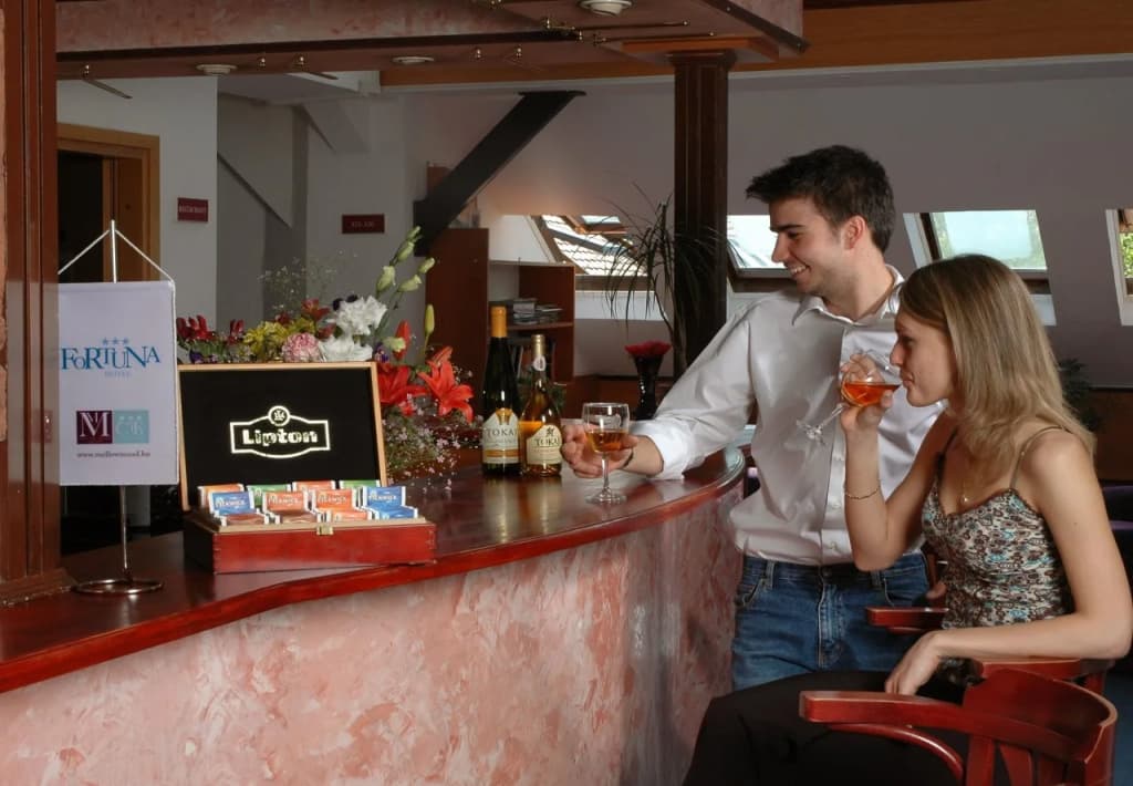 Hotel Fortuna - photo 7