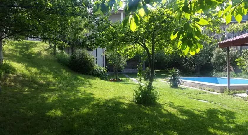 Vacation House Rustaveli - photo 3