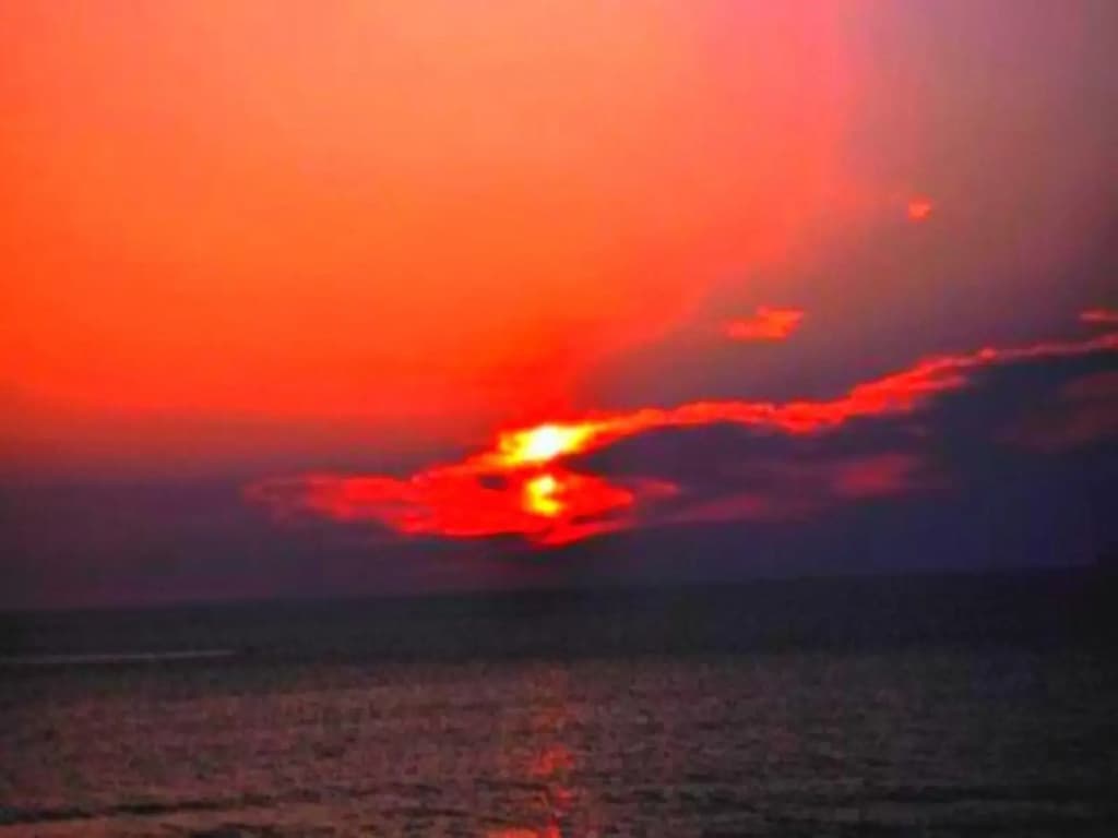 Sai Sea City Hotel - photo 12