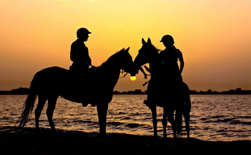 Anantara Sir Bani Yas Island Resorts - photo 11