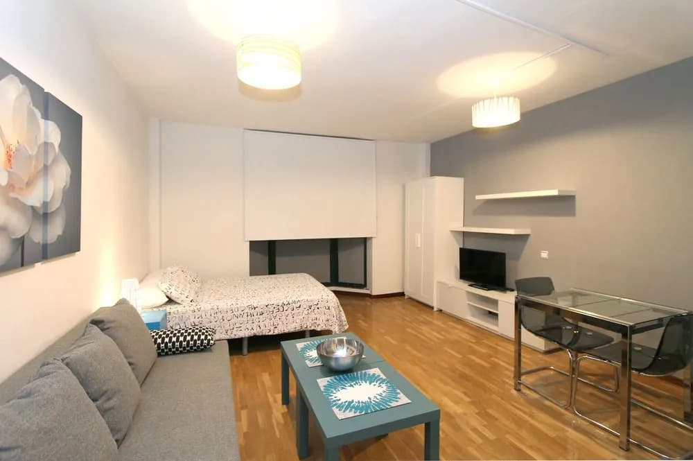 Apartamentos Castilla Luz 2 - photo 3