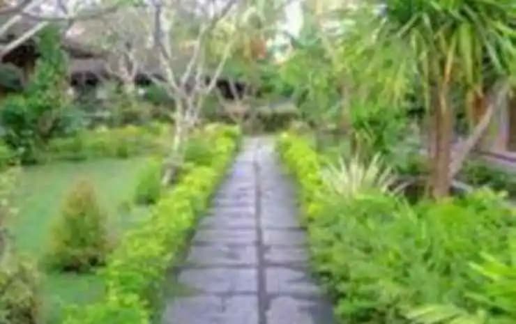 Rita Homestay - photo 3