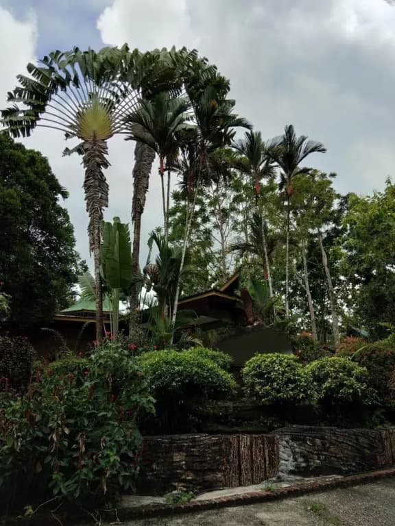 Sepilok Jungle Resort - photo 4
