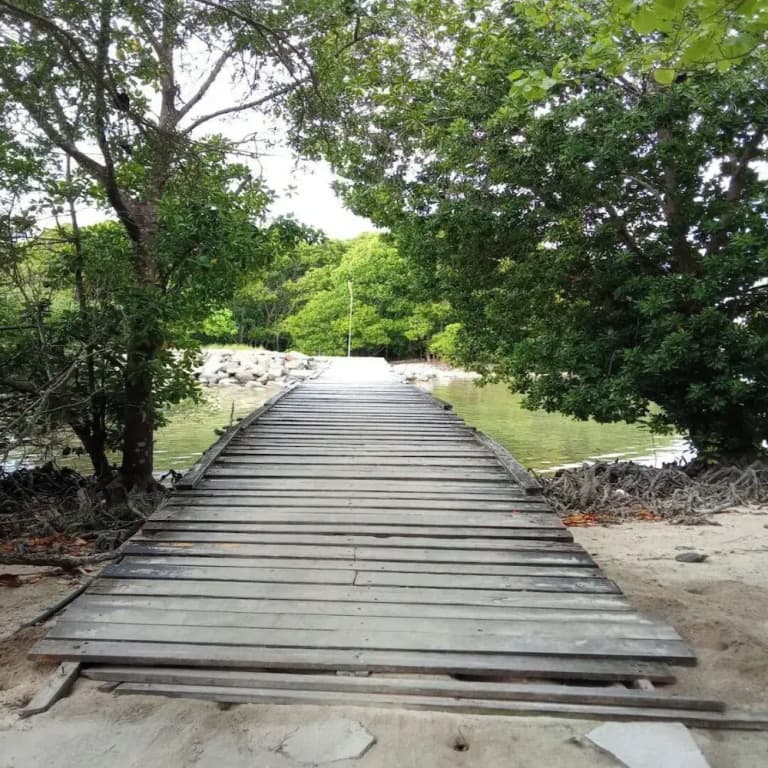 Sea Breeze View - photo 35