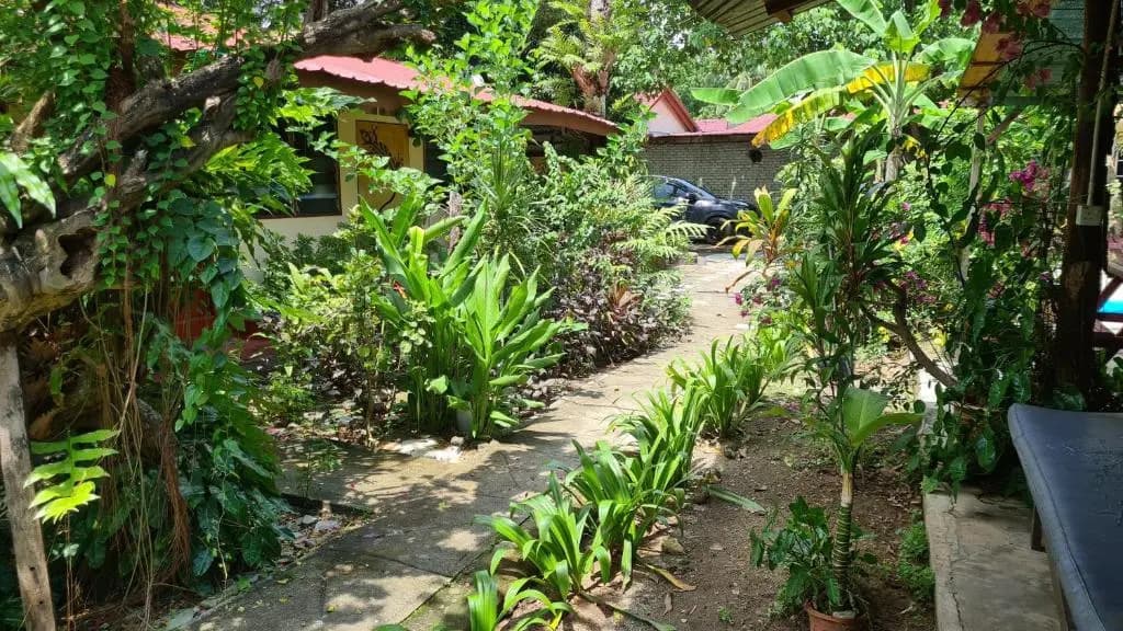 Gecko Guesthouse Langkawi - main photo