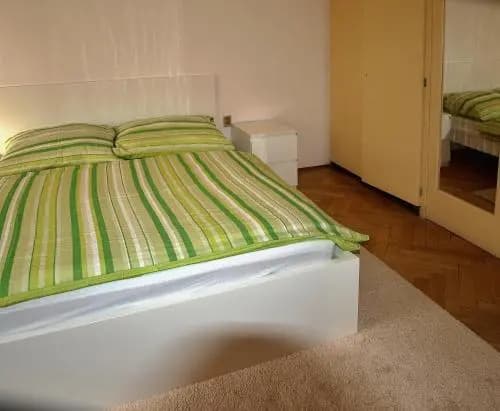Apartments Tronicek - photo 4
