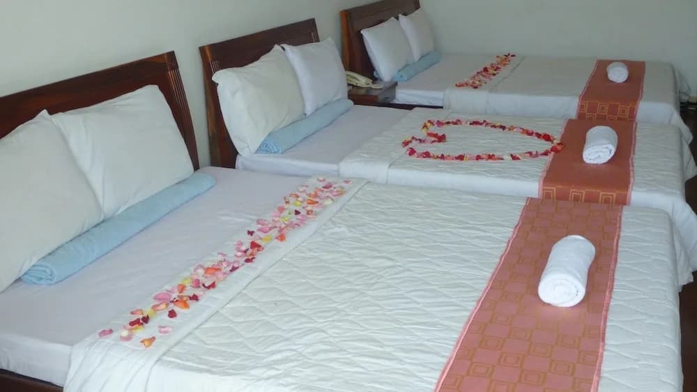 Bien Viet Hotel - photo 4