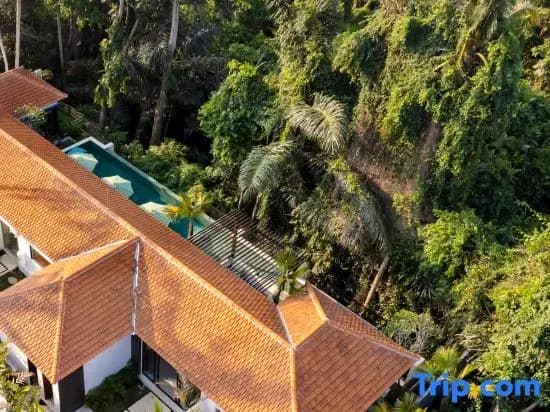 Villa Mamily by BaliSuperHost - photo 9