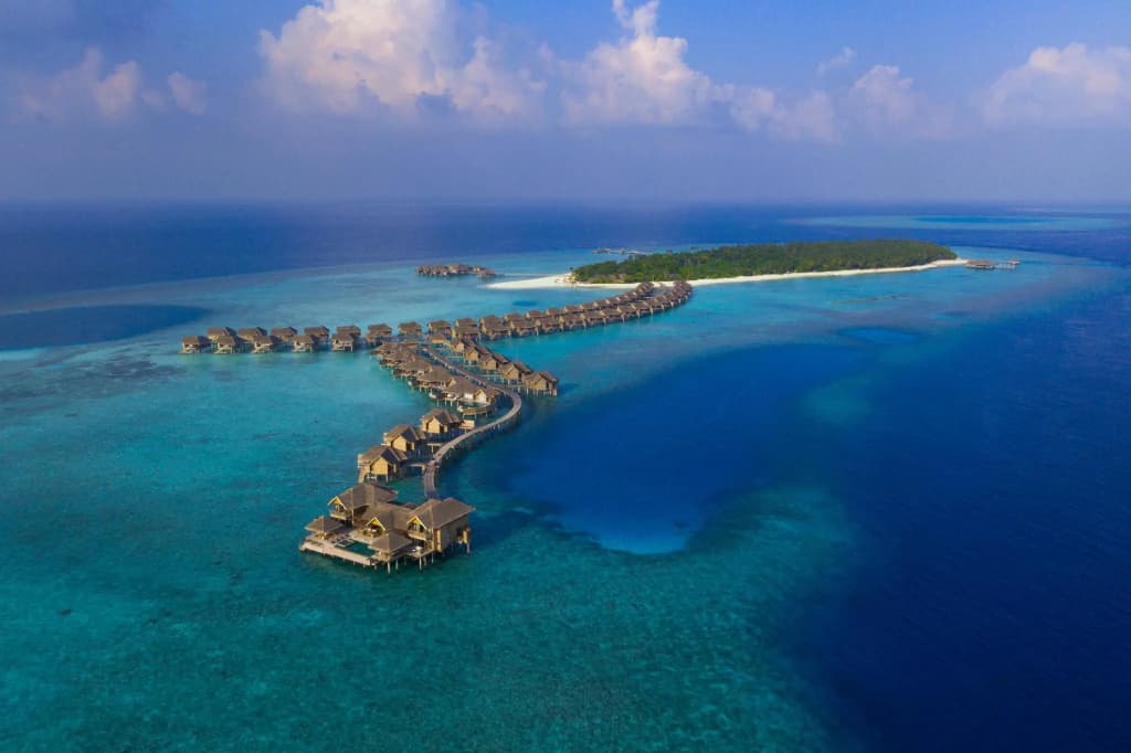 Vakkaru Maldives Hotel - photo 41