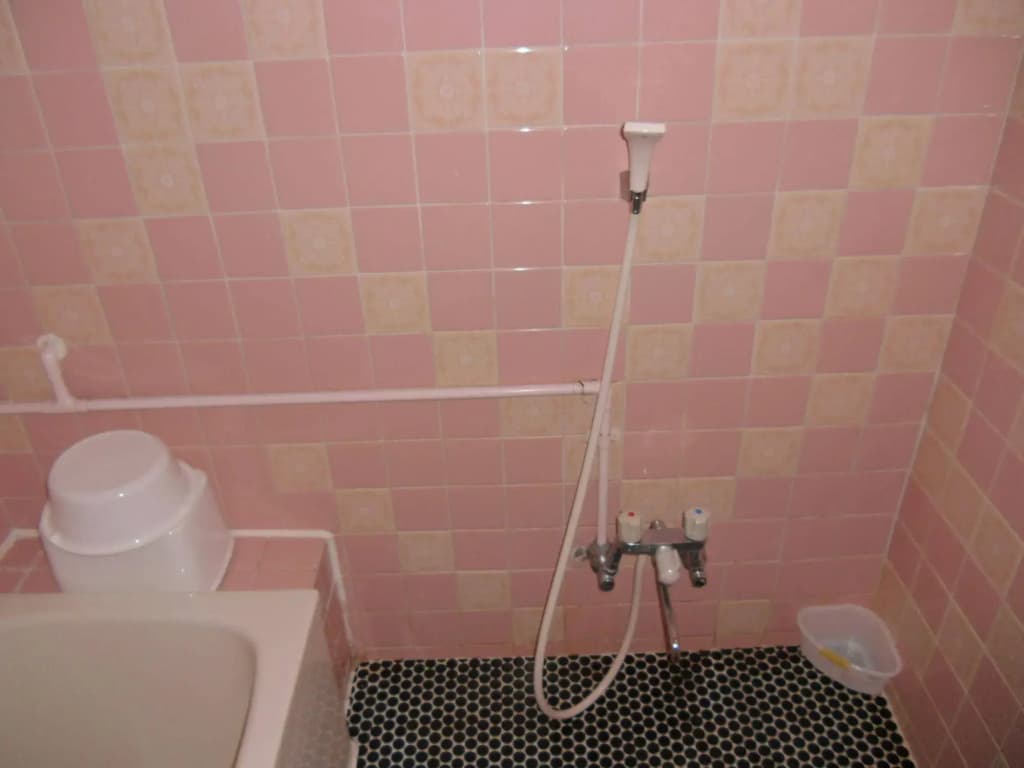 Shin-Okubo Sekitei Hotel - photo 8