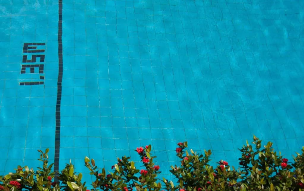 Phuket Merlin Hotel - photo 41