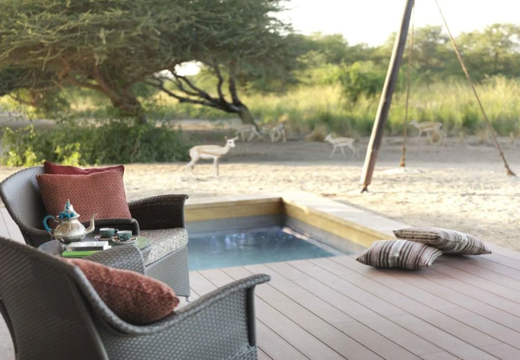 Anantara Sir Bani Yas Island Resorts - photo 13