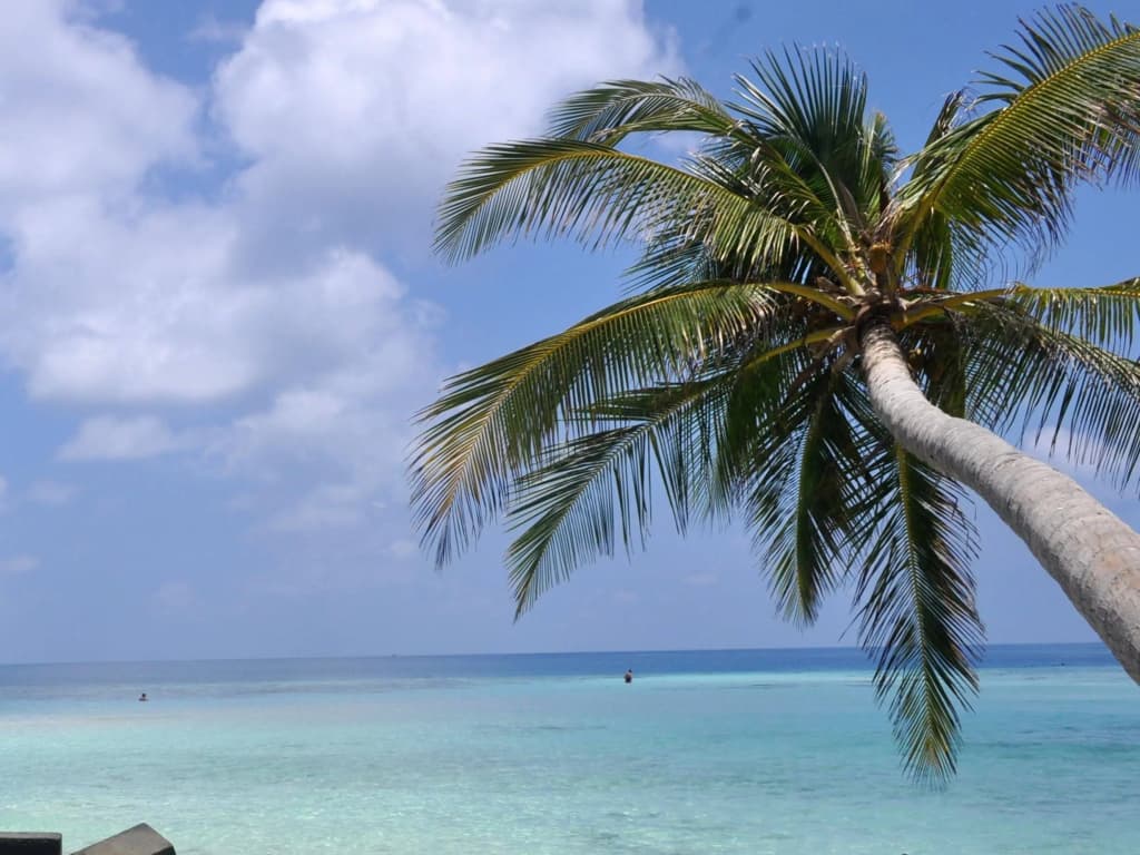 Nala Island Village Hotel - photo 17