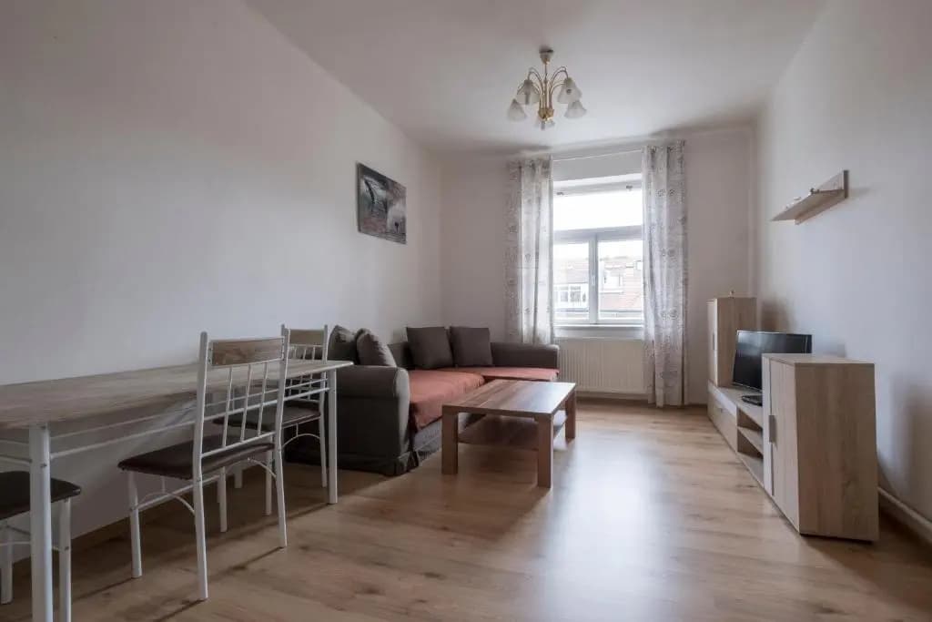 Downtown Apartments Prague - photo 7