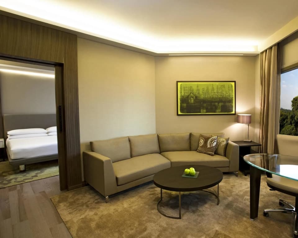 Hyatt Regency Delhi - photo 5