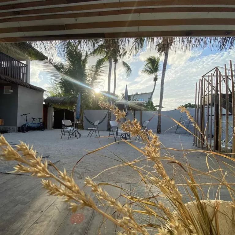 Go Surf Maldives - photo 13