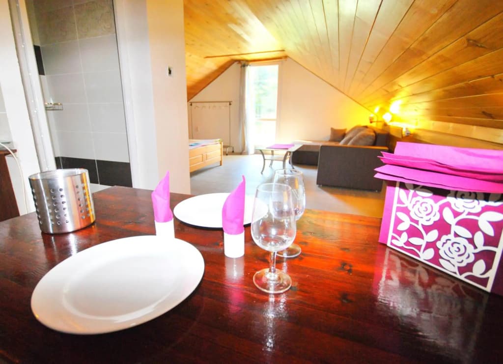Apartments Zbraslav - photo 10