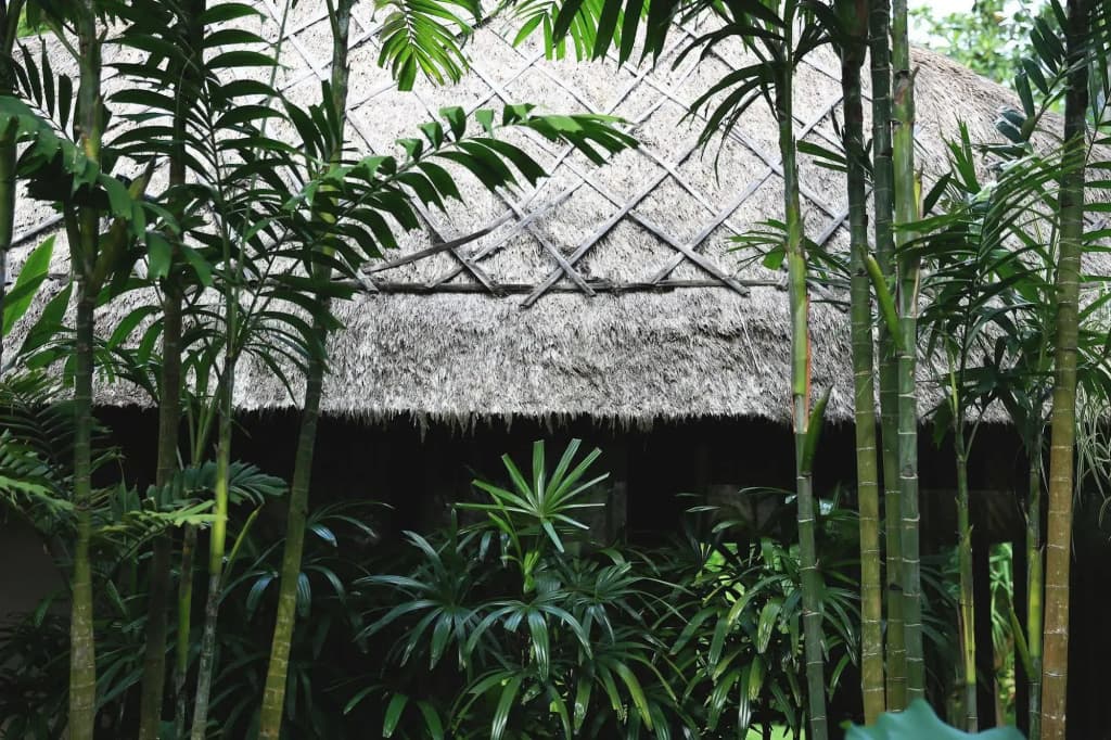 RedDoor Bali - photo 10