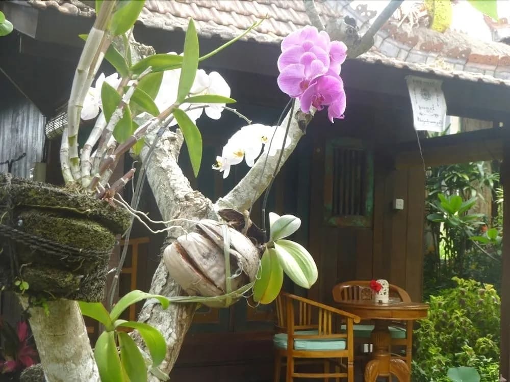 Joglo Taman Sari Resort - photo 17