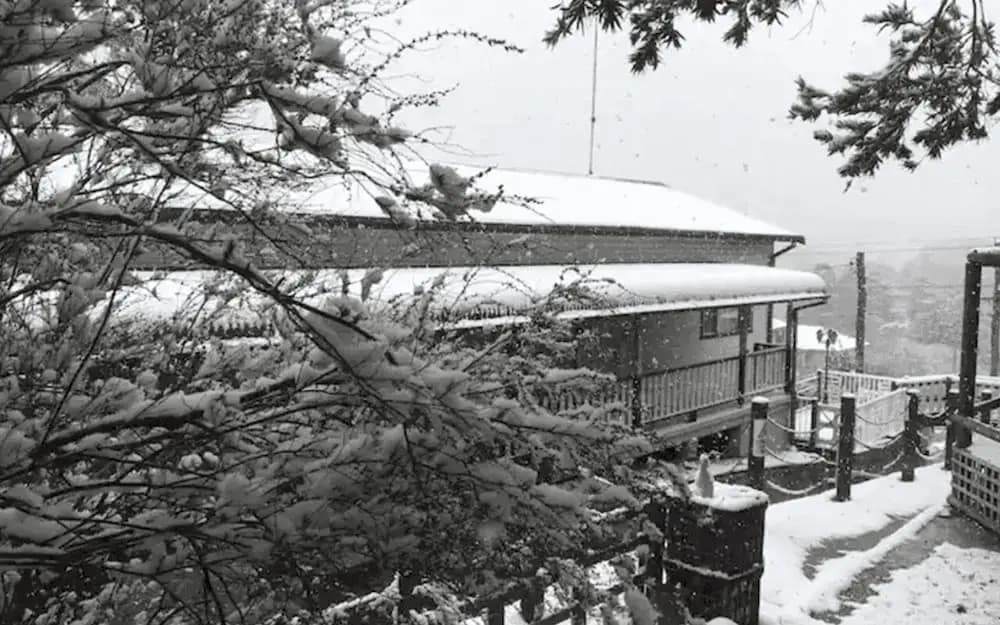 Cozy Mountain Cottage - photo 7
