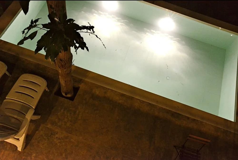The Green Mango - photo 16