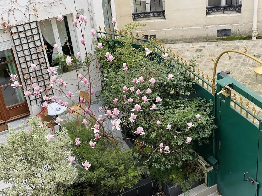 CamParis - B&B - Chambre d'hôtes - photo 16
