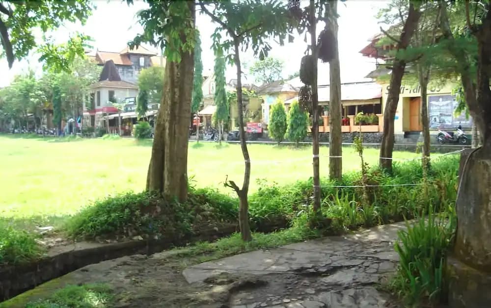 Loka House - photo 13