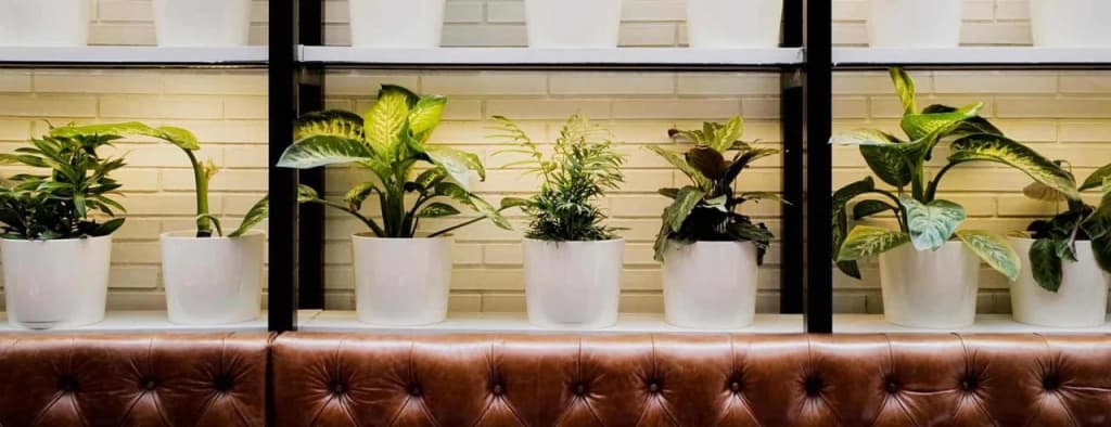 Hotel Praktik Bakery - photo 2